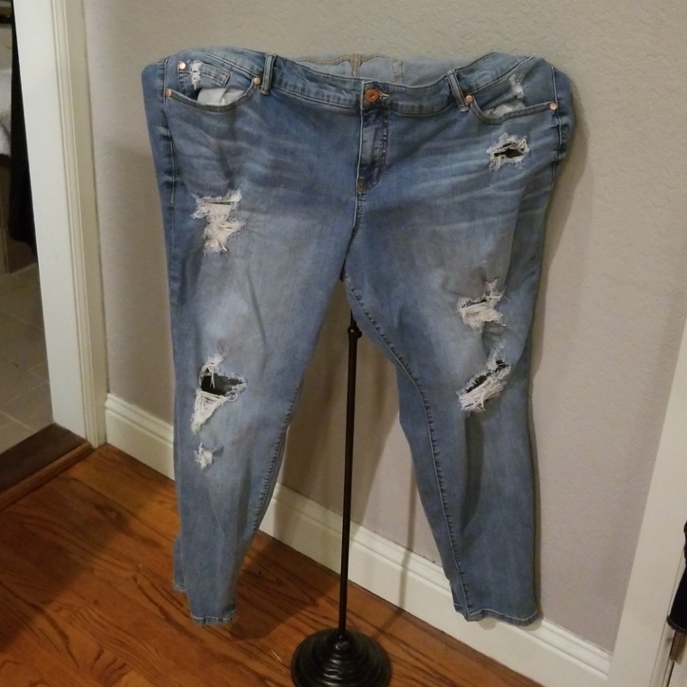 Torrid Jeans